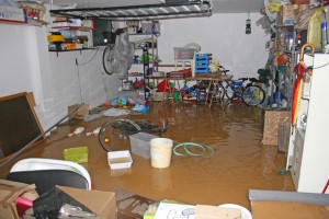 importance of conducting water removal